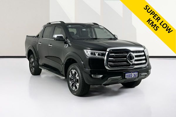 2023 GWM UTE CANNON-X (4x4)  4X4 image