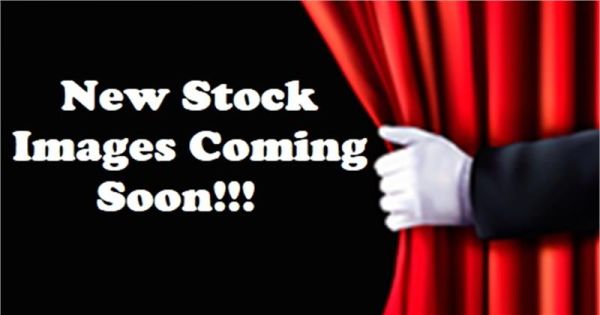 2010 MERCEDES-BENZ ML 4D WAGON W164 09 UPGRADE 350CDI (4x4) image