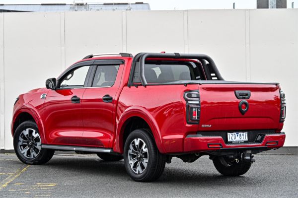 2021 GWM Ute Utility NPW Cannon-X image