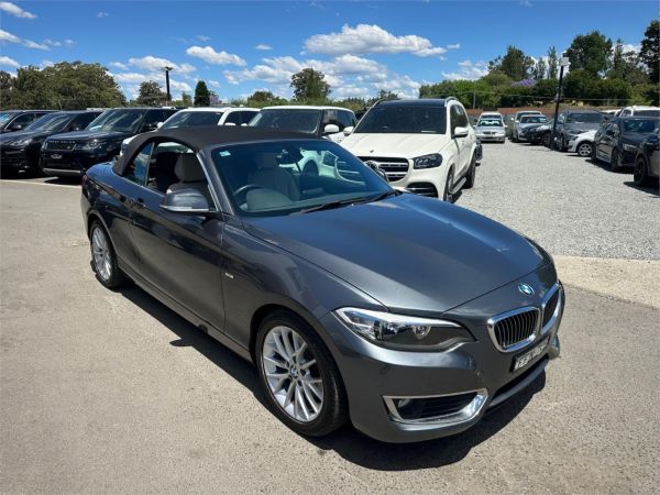 2015 BMW 2 Series Convertible F23 220i Luxury Line image