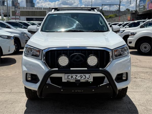 2020 LDV T60 Utility SK8C Trailrider 2 image