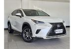 Image for 2021 Lexus NX NX300h Luxury AYZ10R