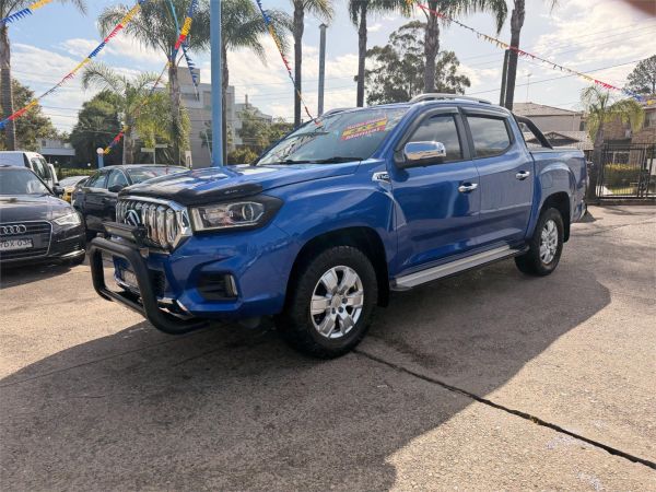 2019 LDV T60 Utility SK8C LUXE image