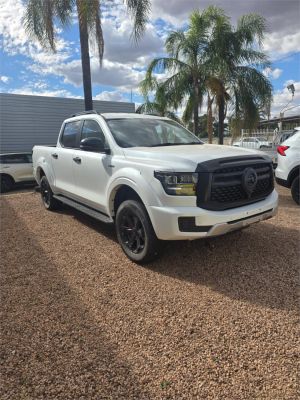 2025 GWM CANNON ALPHA DUAL CAB UTILITY LUX PHEV (4x4) image