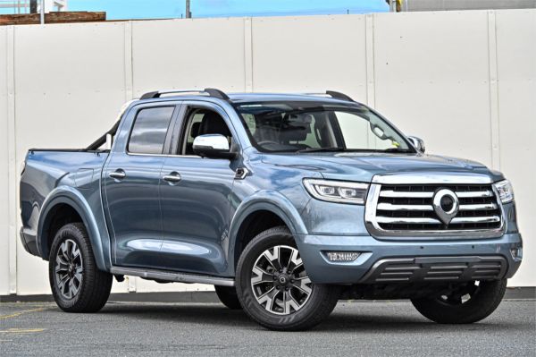 2022 GWM Ute Utility NPW Cannon-X image