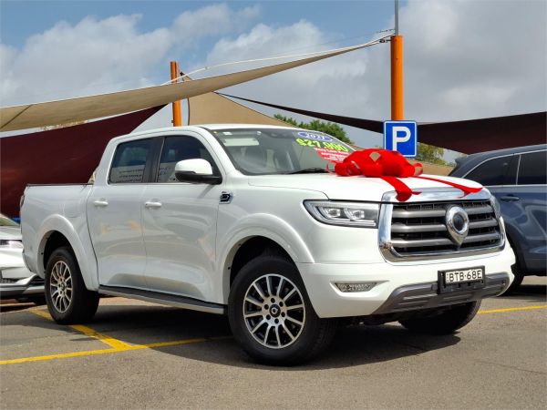 2021 GWM Ute Utility NPW Cannon-L image