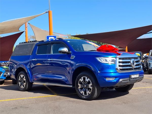 2021 GWM Ute Utility NPW Cannon-L image