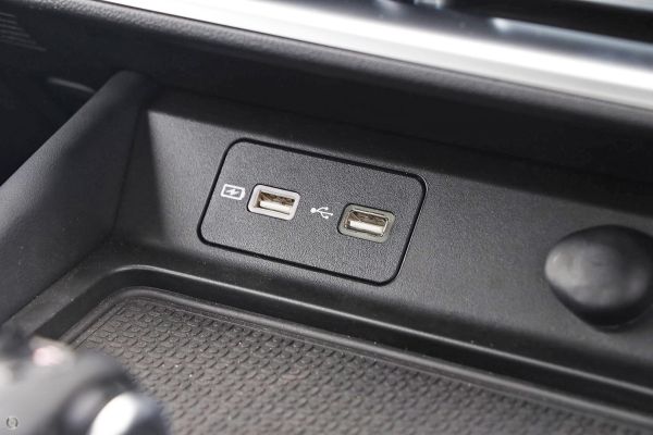 2025 GWM Cannon Premium Auto 4x2 image