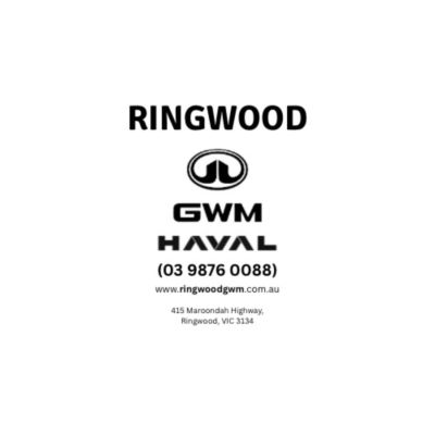 2025 GWM Cannon Utility NPW Ultra image