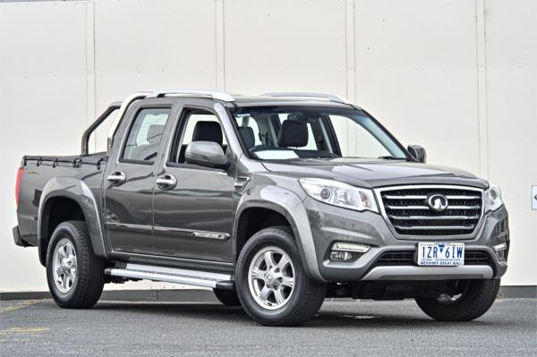 2019 Great Wall Steed Utility NBP image