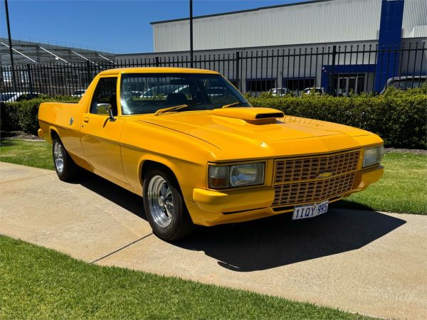 1980 HOLDEN HOLDEN UTILITY WB image