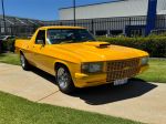 Image for 1980 HOLDEN HOLDEN UTILITY WB
