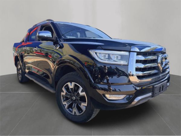 2022 GWM Ute Utility NPW Cannon-X image