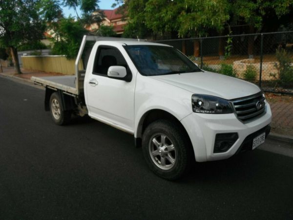 2019 Great Wall Steed K2 (4x4) White 6 Speed Manual Cab Chassis image