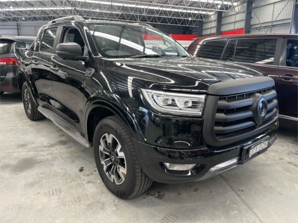 2021 GWM Ute Utility NPW Cannon-X image