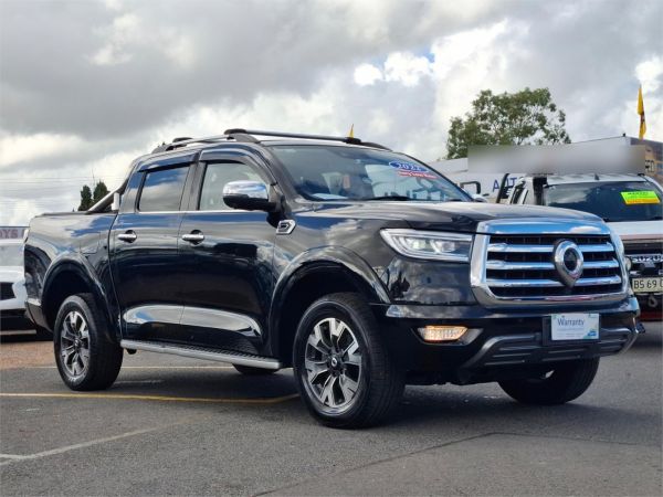 2022 GWM Ute Utility NPW Cannon-X image