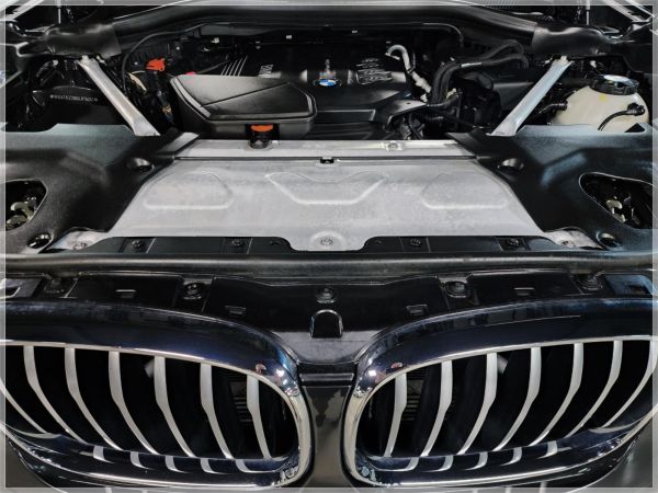 2020 BMW X3 G01 xDrive20d image