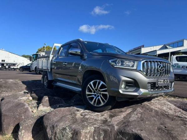 2020 Ldv T60 UTILITY LUXE MEGA TUB DUAL C SK8C image