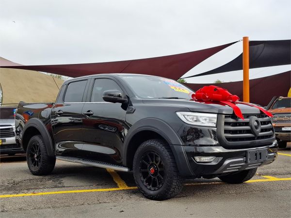 2021 GWM Ute Utility NPW Cannon image