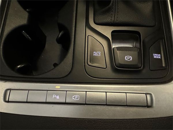 2024 Kia Carnival KA4 PE S image