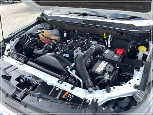 2020 Holden Colorado RG LS image