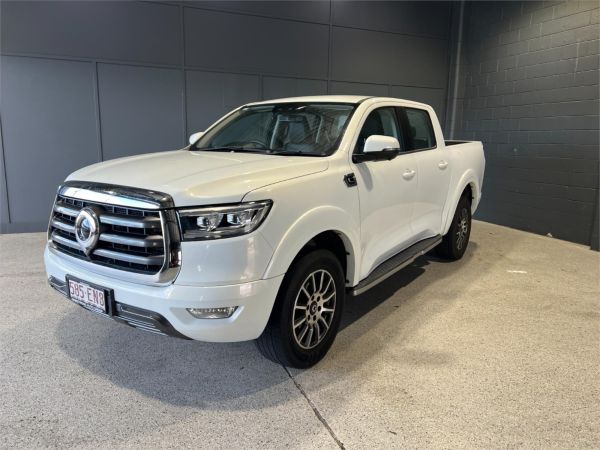 2022 GWM Ute Utility NPW Cannon image