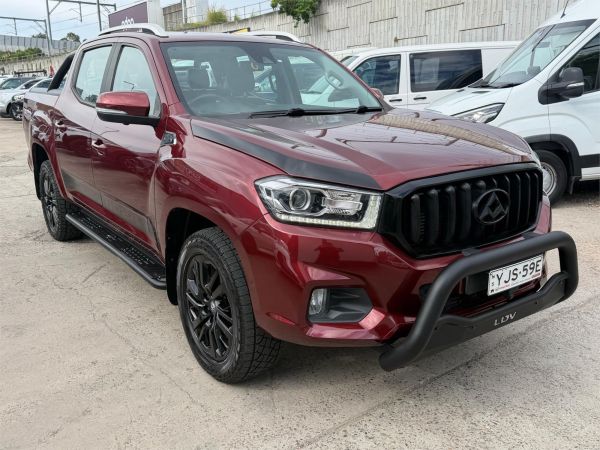 2019 LDV T60 Utility SK8C Trailrider image