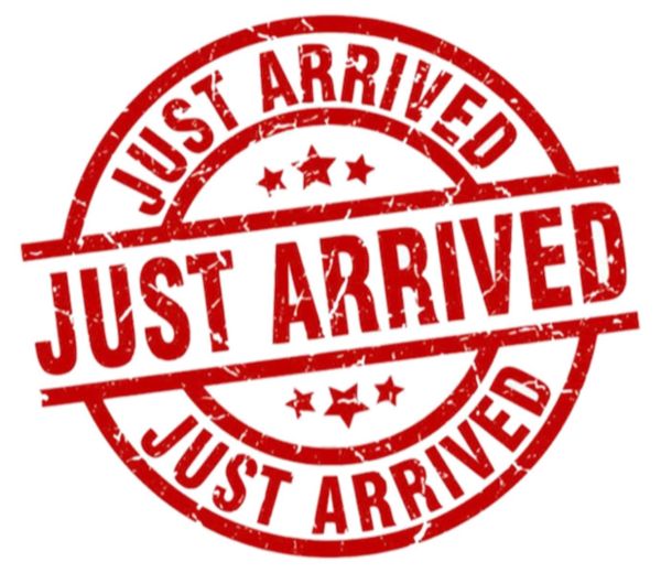 2020 Isuzu D-MAX Cab Chassis RG MY21 SX High Ride image