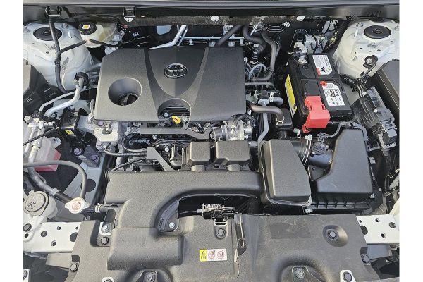 2022 Toyota RAV4 MXAA52R Cruiser image