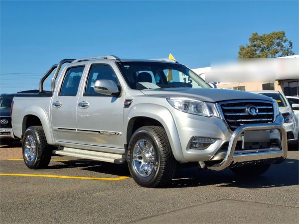 2019 Great Wall Steed Utility NBP image