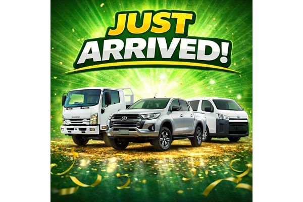 2022 Toyota Landcruiser GXL VDJ79R 4X4 image