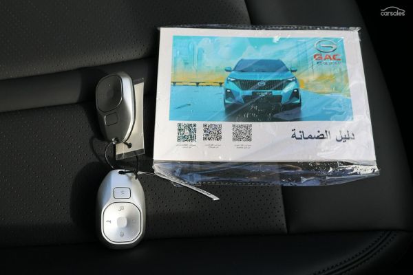 2026 GAC Emzoom Luxury image
