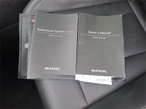 2017 Haval H6 Wagon LUX image