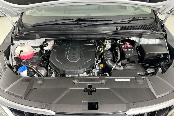 2022 Kia Carnival KA4 S image