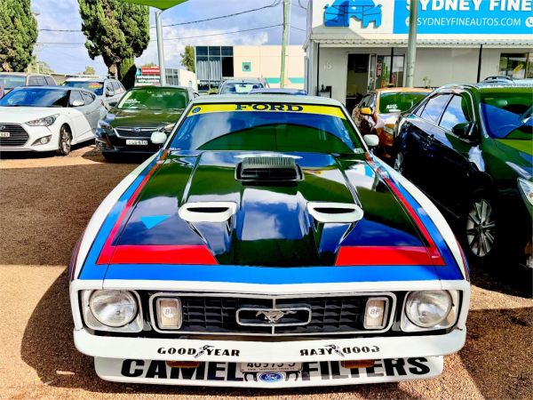1973 Ford Mustang Fastback - Coupe image