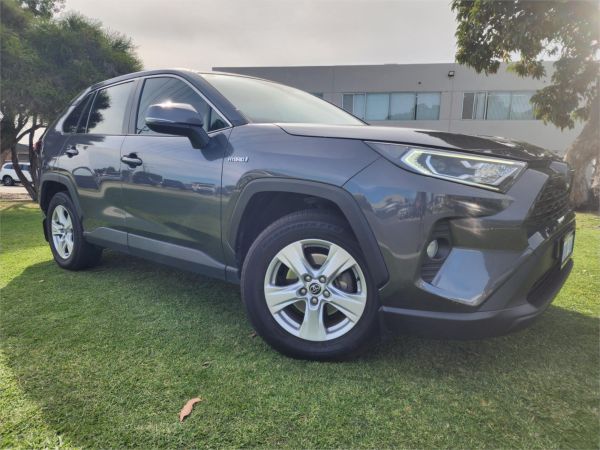 2019 Toyota RAV4 AXAH52R GX image
