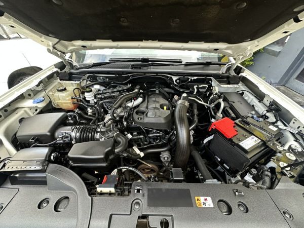 2022 Ford Ranger PY 2022MY XLS image