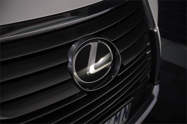 2019 Lexus RX AGL20R 300 Luxury image