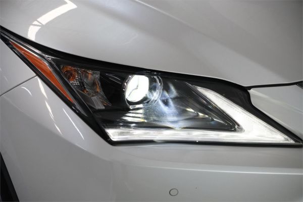 2019 Lexus RX AGL20R 300 Luxury image