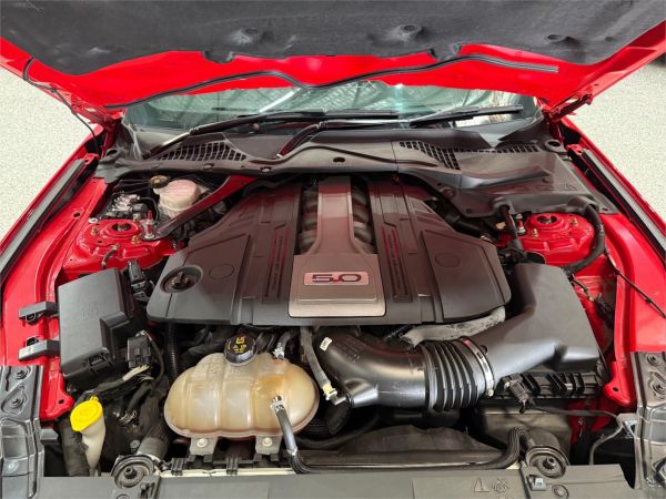 2018 Ford Mustang Fastback - Coupe FN 2019MY GT image
