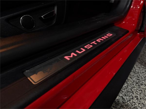 2018 Ford Mustang Fastback - Coupe FN 2019MY GT image
