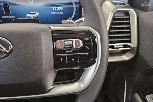 2025 LDV Terron 9 Origin image