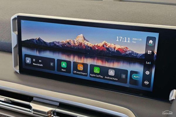 2025 LDV Terron 9 Origin image