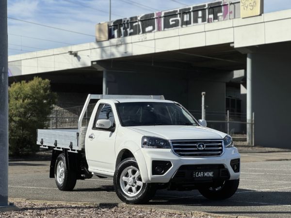 2021 GWM Steed K2 SINGLE CAB image