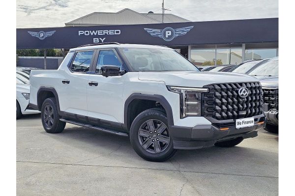 2025 LDV Terron 9  Origin image