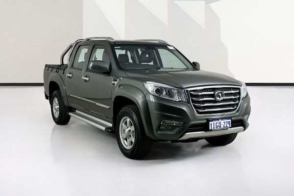 2019 GWM Steed   image