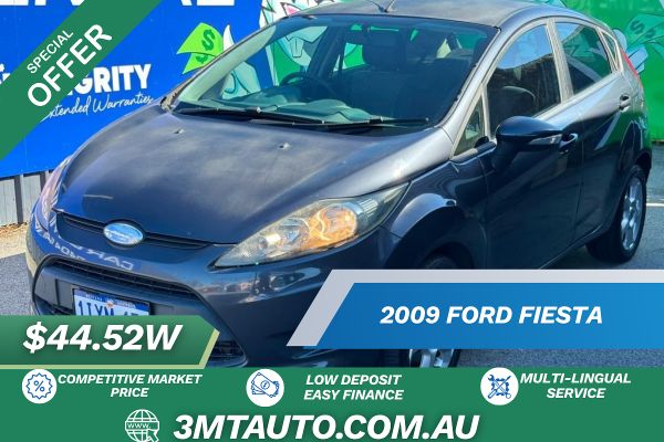 2009 Ford Fiesta LX WS image