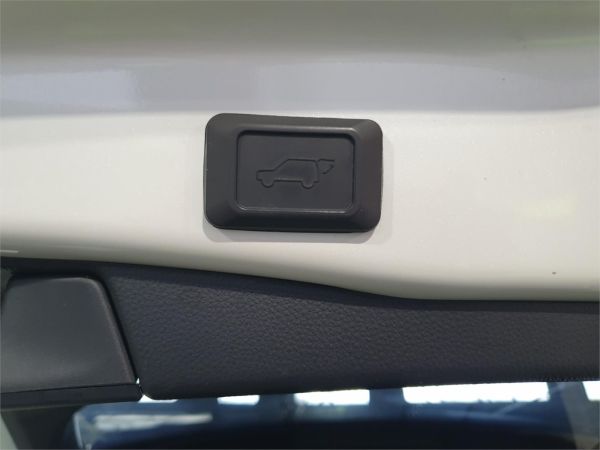 2021 Toyota RAV4 SUV AXAP54 PHV image