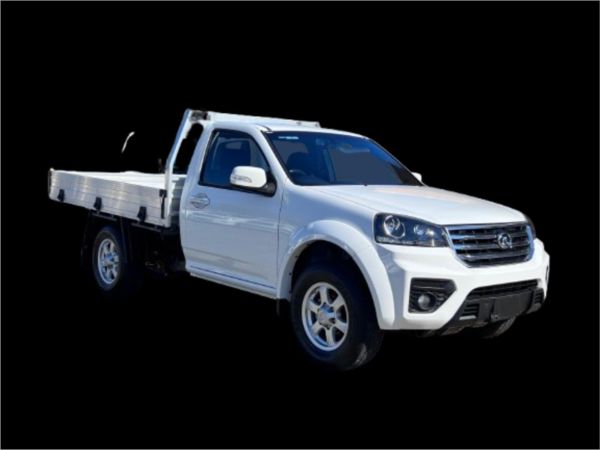 2020 GWM Steed   image