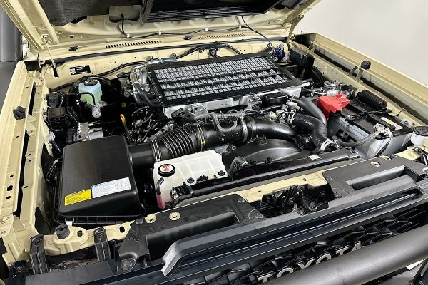 2025 Toyota Landcruiser VDJL79R GXL image
